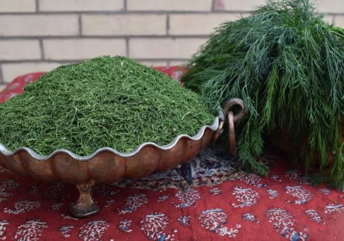 تصویر 1 از قیمت خرید سبزی خشک شوید + فروش ویژه